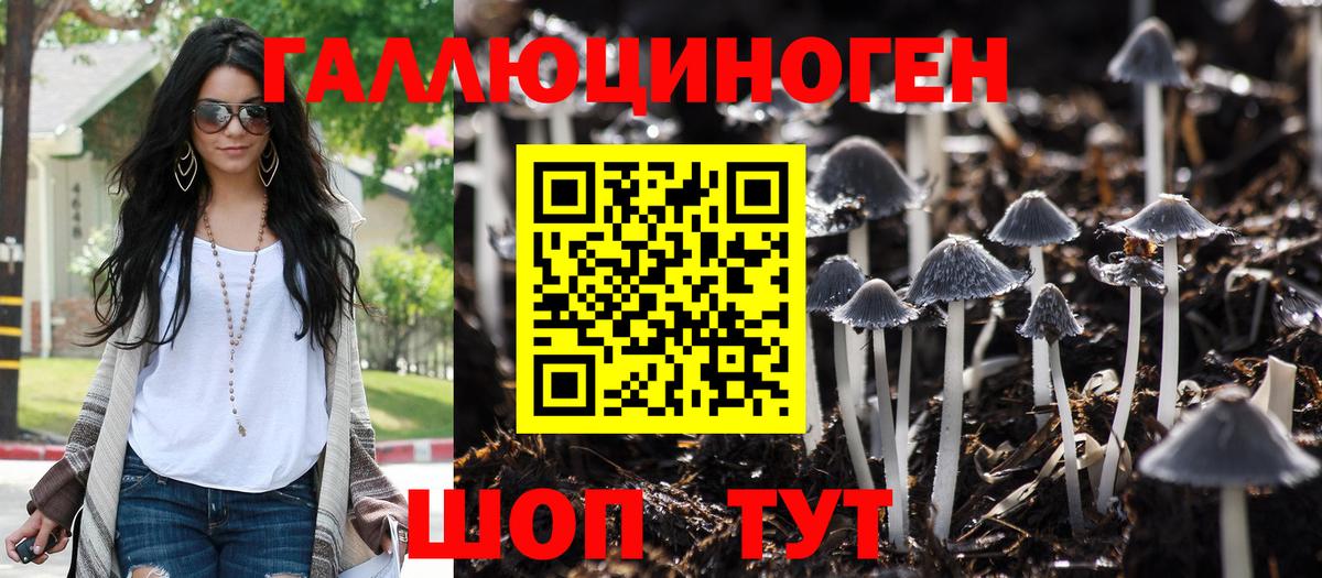 Псилоцибиновые грибы Psilocybine cubensis Пыть-Ях